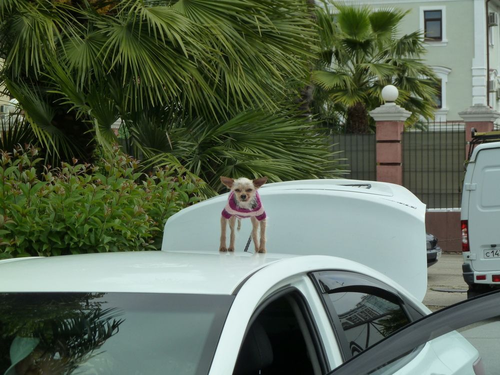 Photograph by Артём