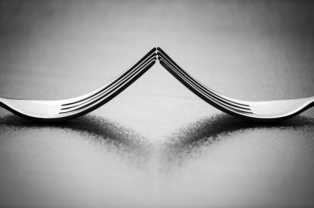 Photograph by Sahar Jafari