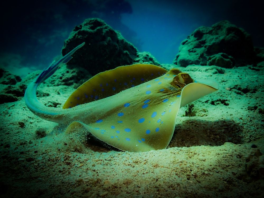 Photograph by Serdar AVCI