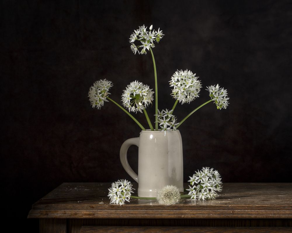 Фотография автора Uljana Kuchar