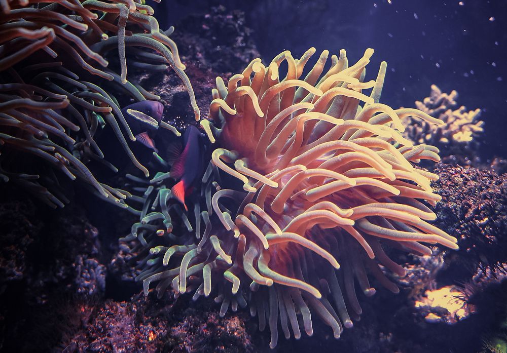 Photograph by Евгений Гонтов