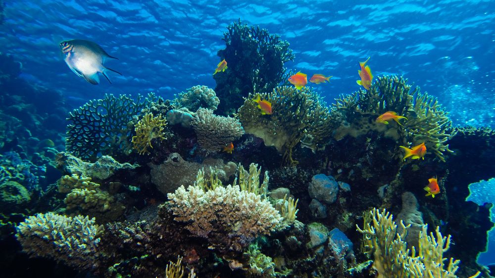 Photograph by Serdar AVCI