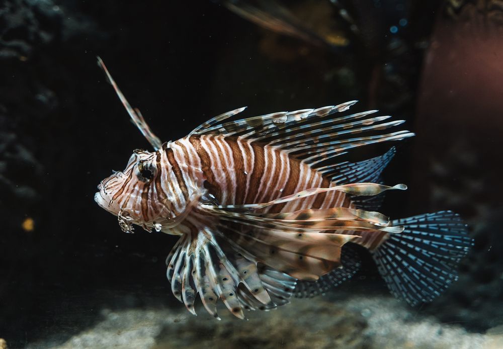 Photograph by Екатерина Карпова