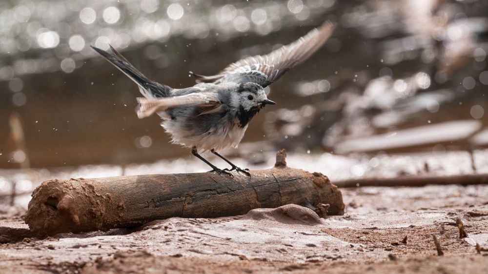 Photograph by Тамара Вотинцева