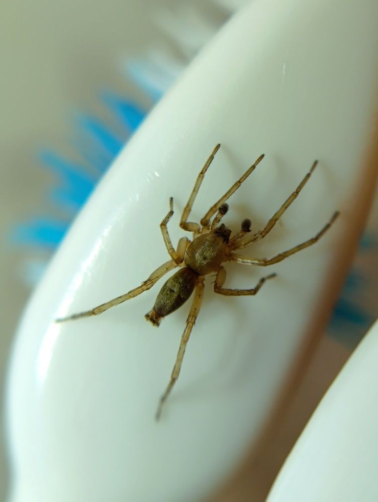 Photograph by Светлана Таркан