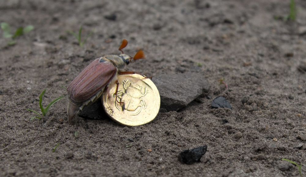 Жизнь удалась!