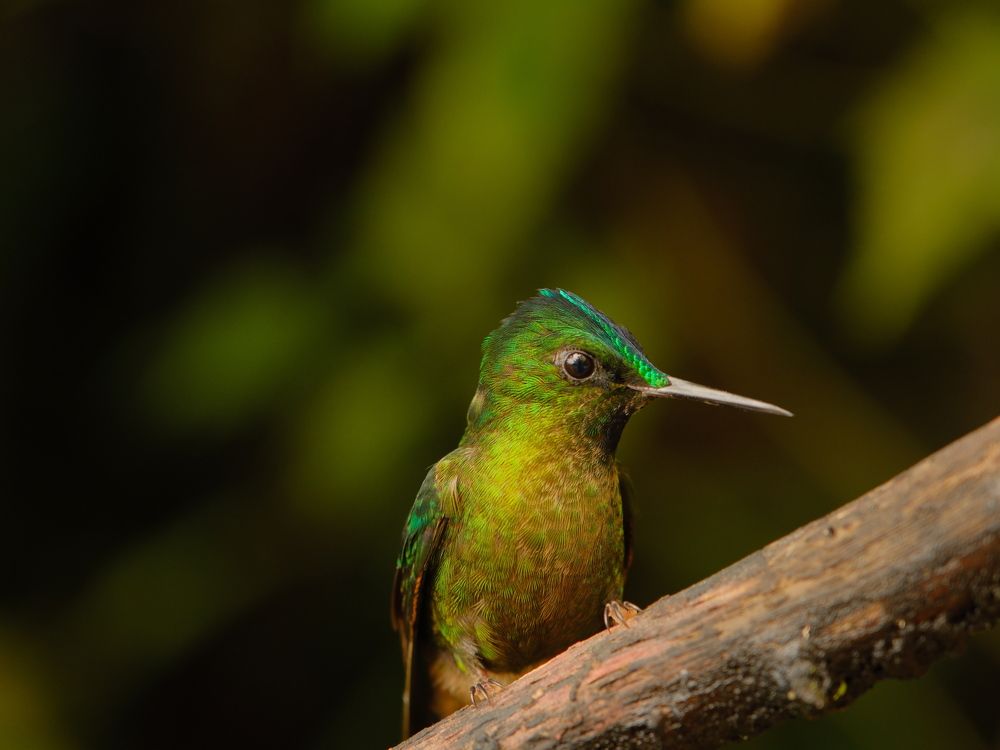 Photograph by Дарья Гаврилова