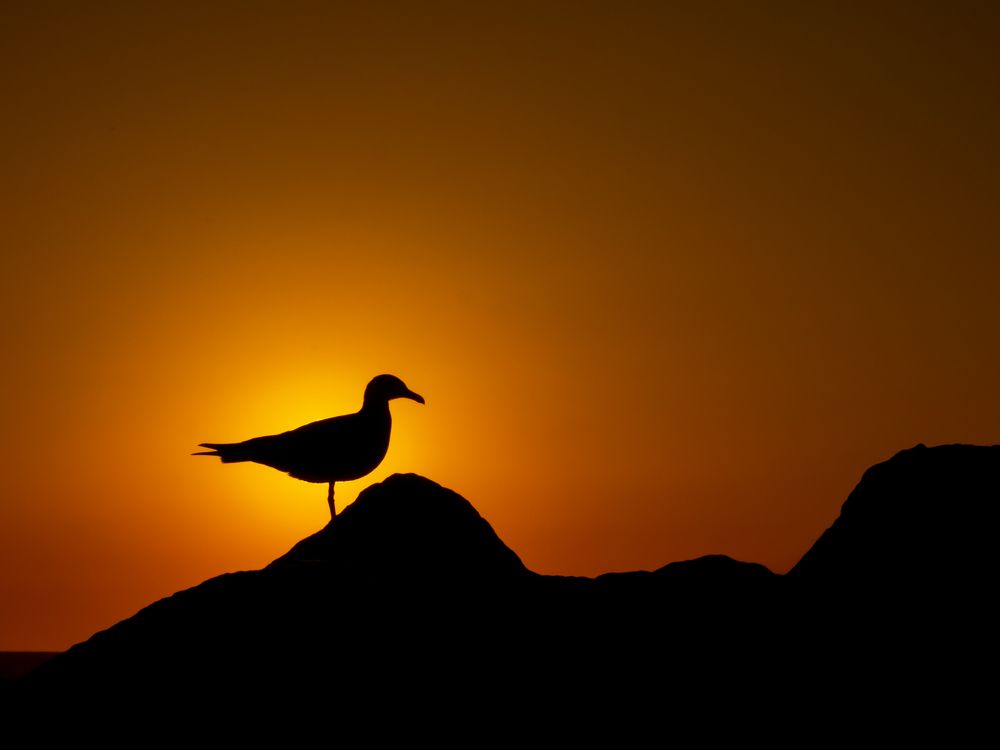 Photograph by Adam Lorenc