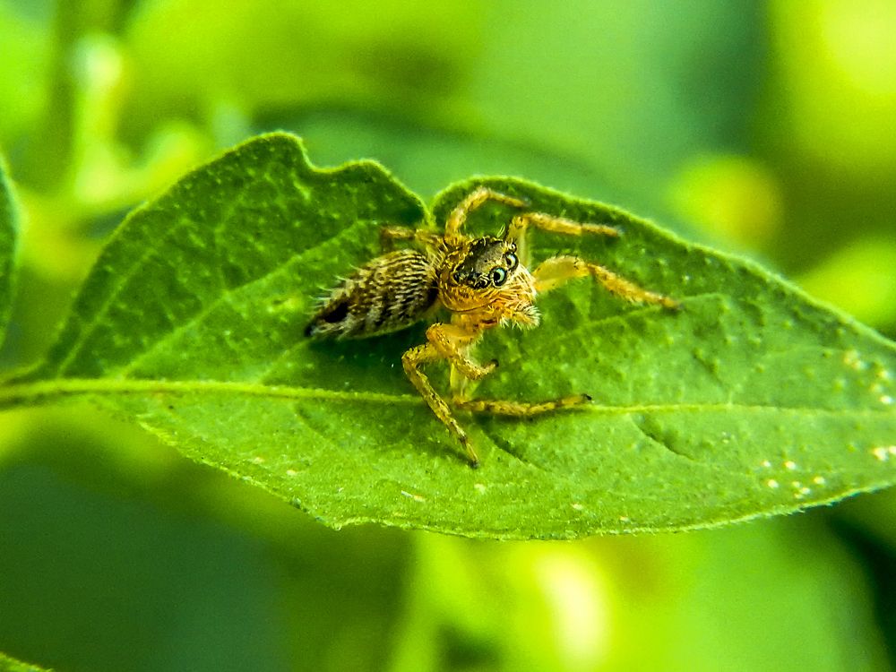 Photograph by Bidyut Dutta