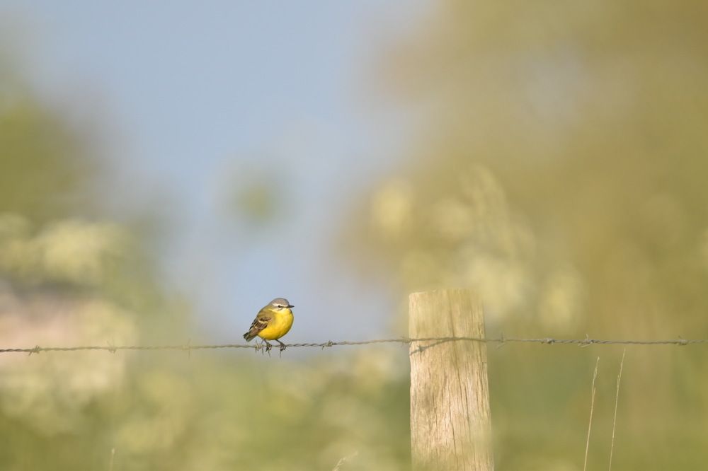 Photograph by Ivo Damen