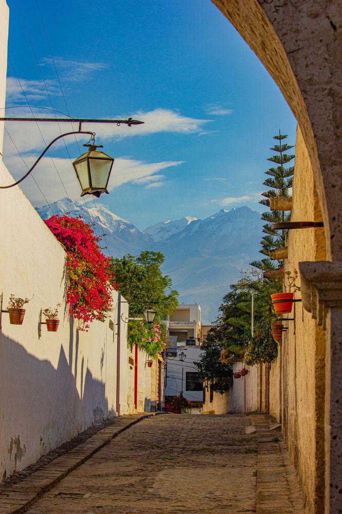 Photograph by Ekaterina Narozhnova