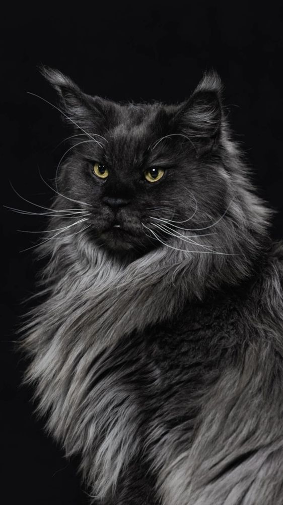 Photograph by Ирина Левакова