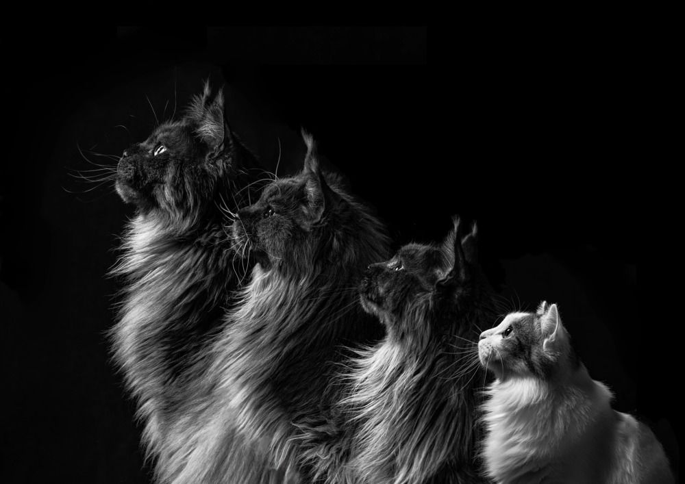 Photograph by Ирина Левакова