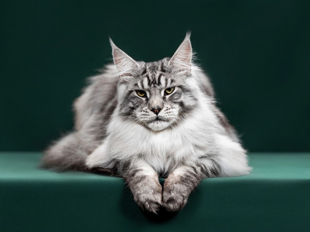 Photograph by Ирина Левакова