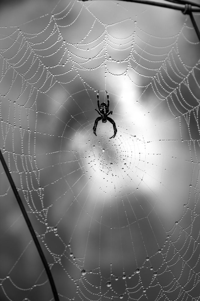 Photograph by Luis Sergio Goncalves