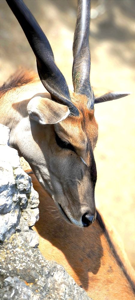 Photograph by Milos Andjelinković