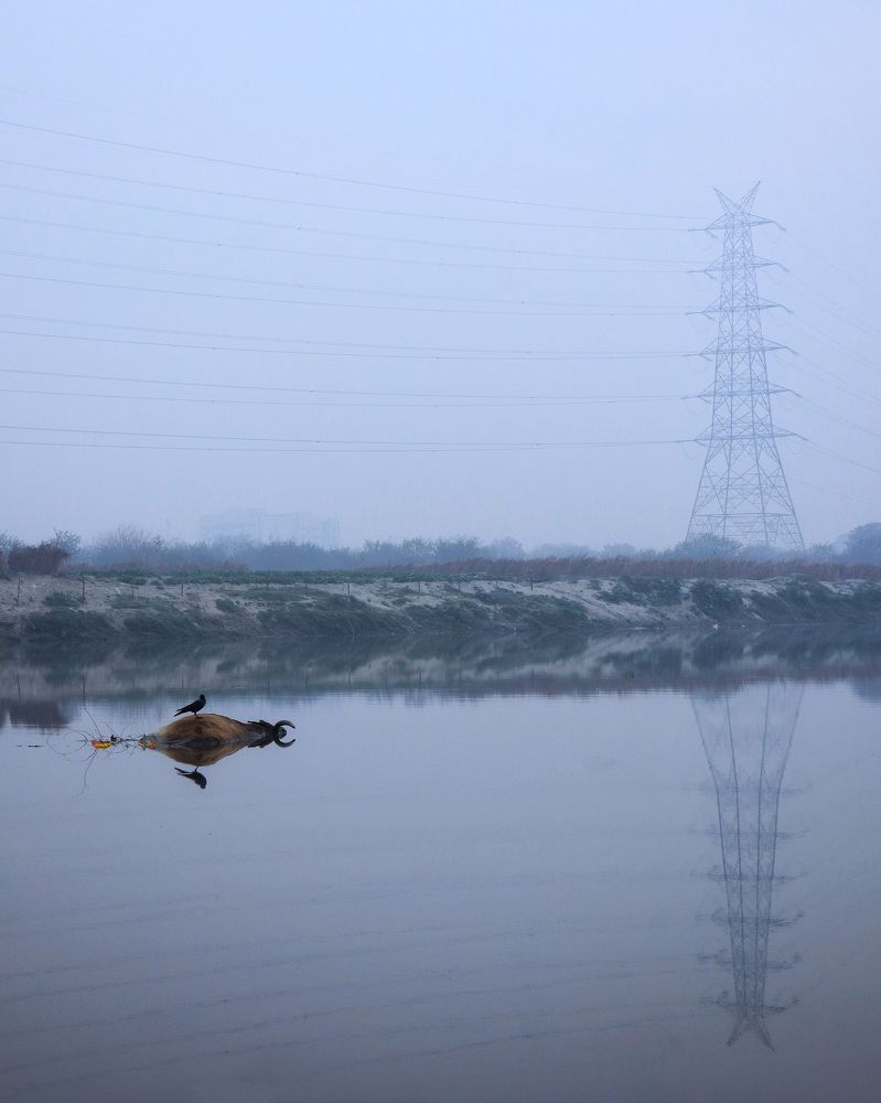 Фотография автора sachin gaurav