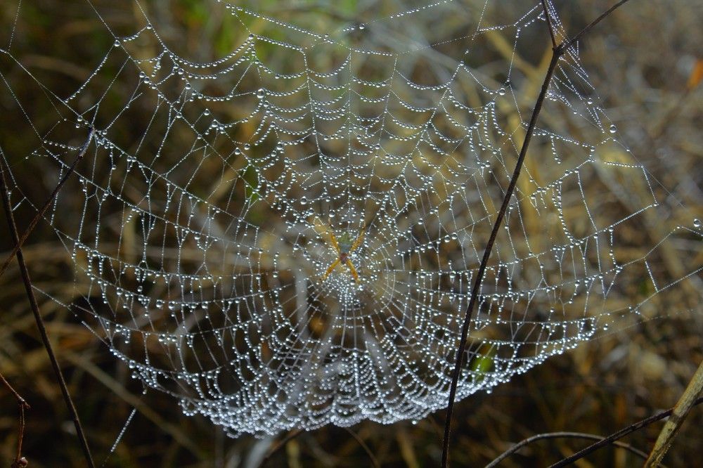 Photograph by Régis Santos