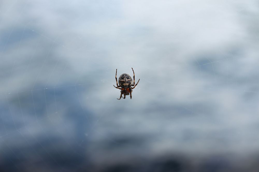 Photograph by Людмила Савчук