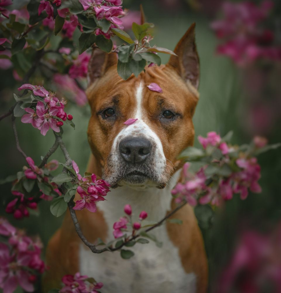 Фотография автора Карина Сагитова