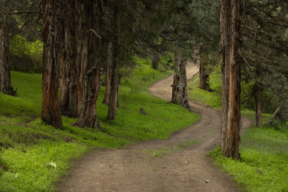 Фотография автора Van Gross