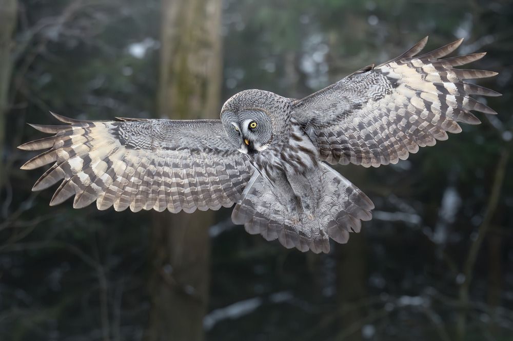 Photograph by Поляков Михаил