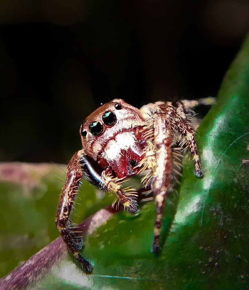 Photograph by A .Thimira dinisuru