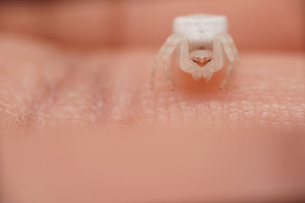 Фотография автора Hasan Al hamada