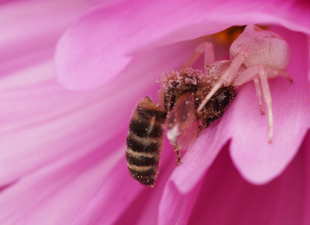 Фотография автора Hasan Al hamada