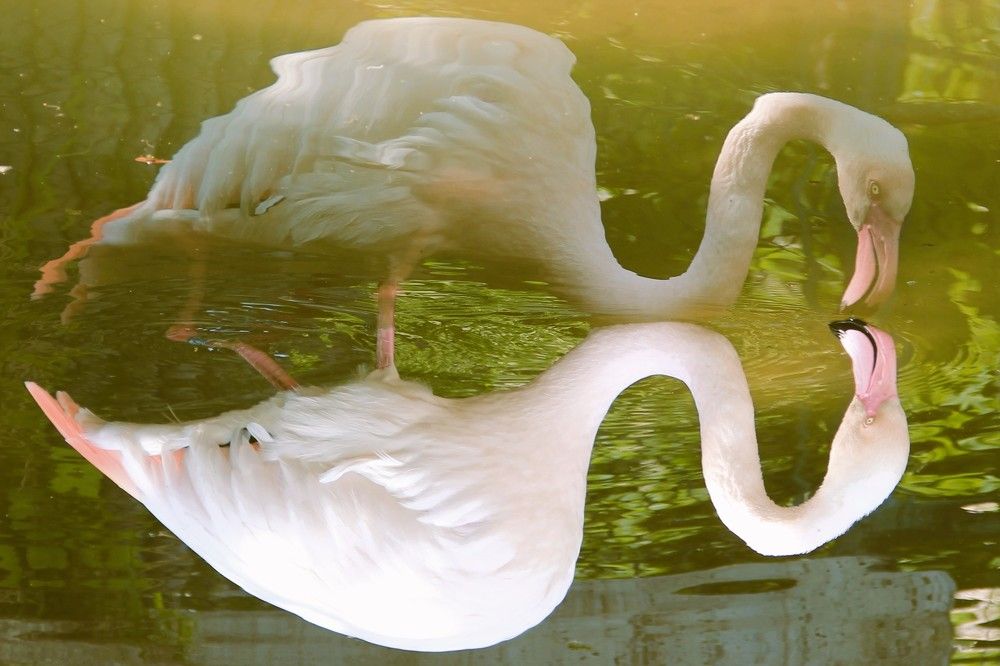 Photograph by Наталия Мельникова