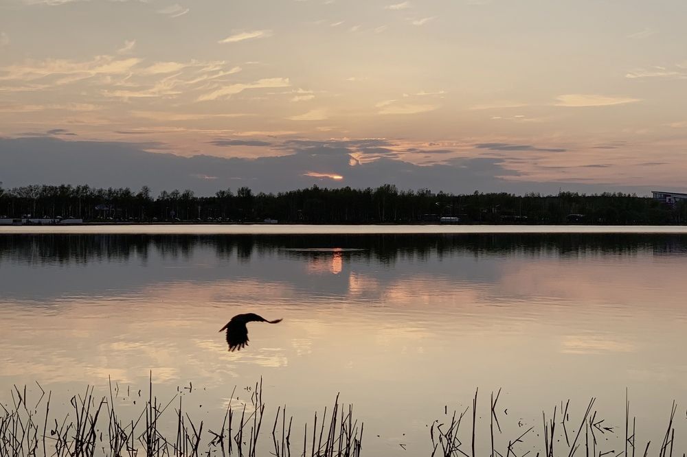 Photograph by Надежда Смирнова