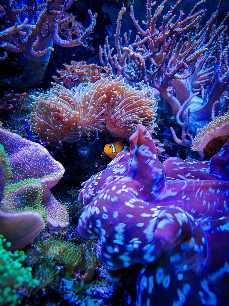 Photograph by Мария Цепилова