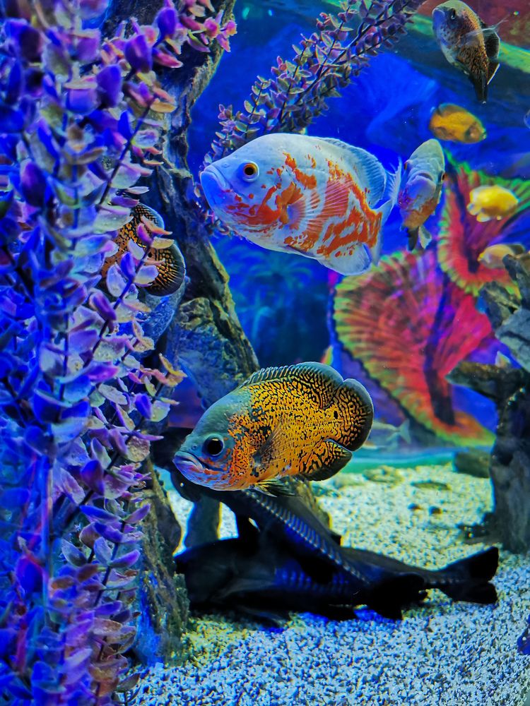 Photograph by Мария Цепилова