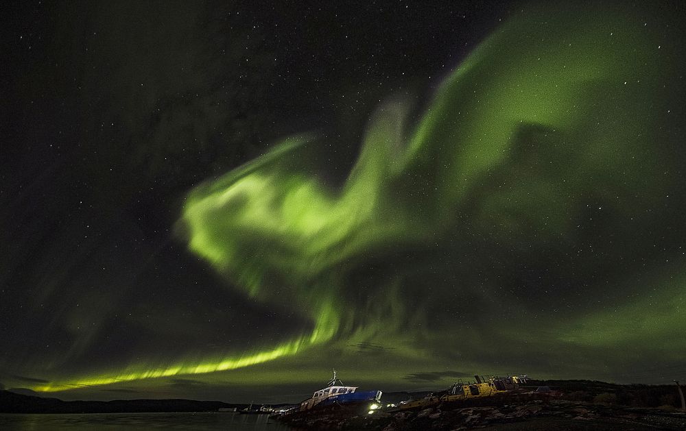 Птица счастья