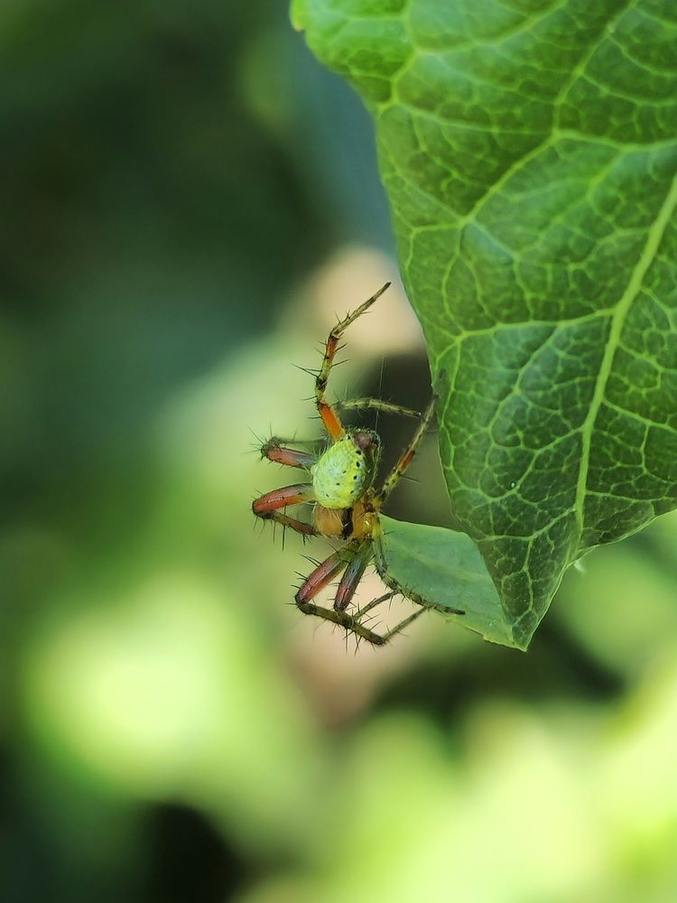 Фотография автора Ольга Быстрова