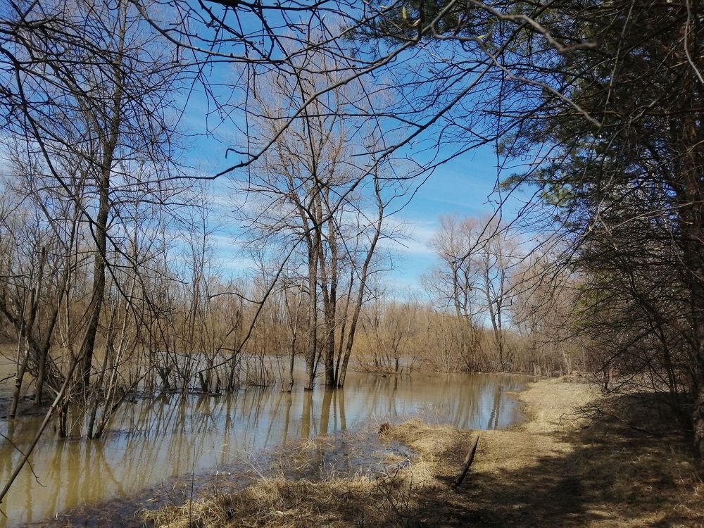 Photograph by Галина Попова