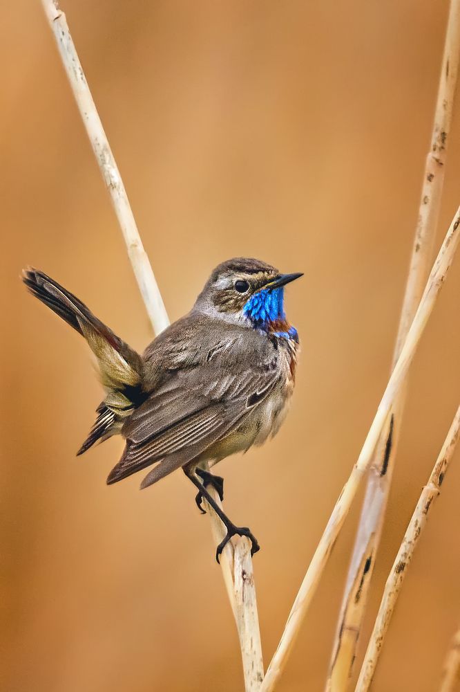 Photograph by Олег Белан