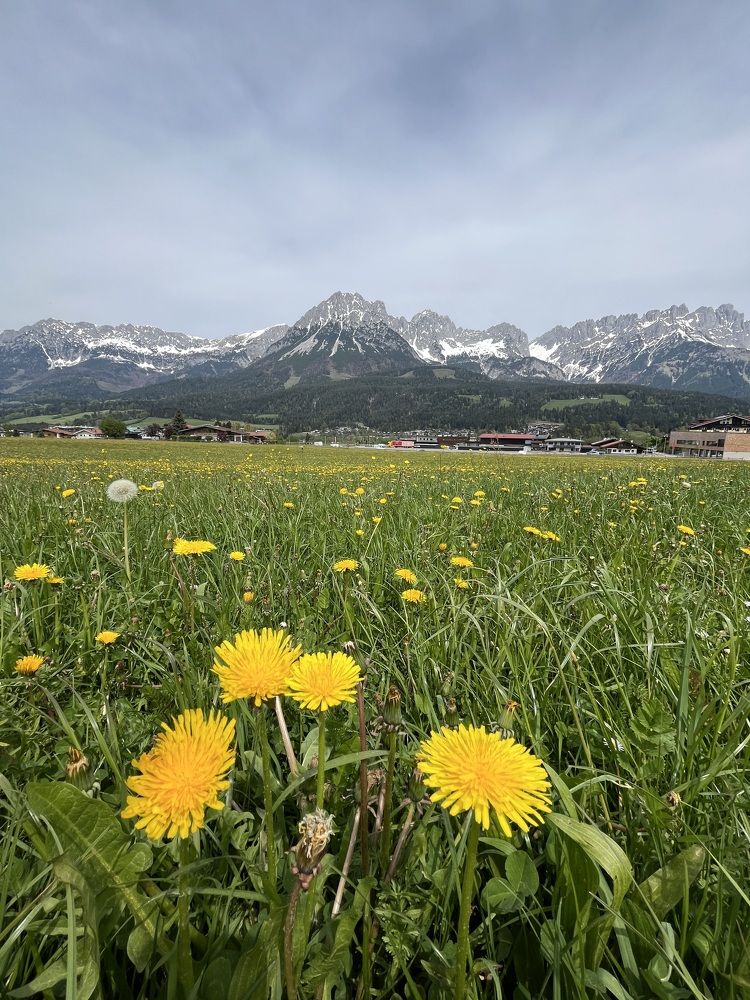 Фотография автора Liudmila Kiermeier