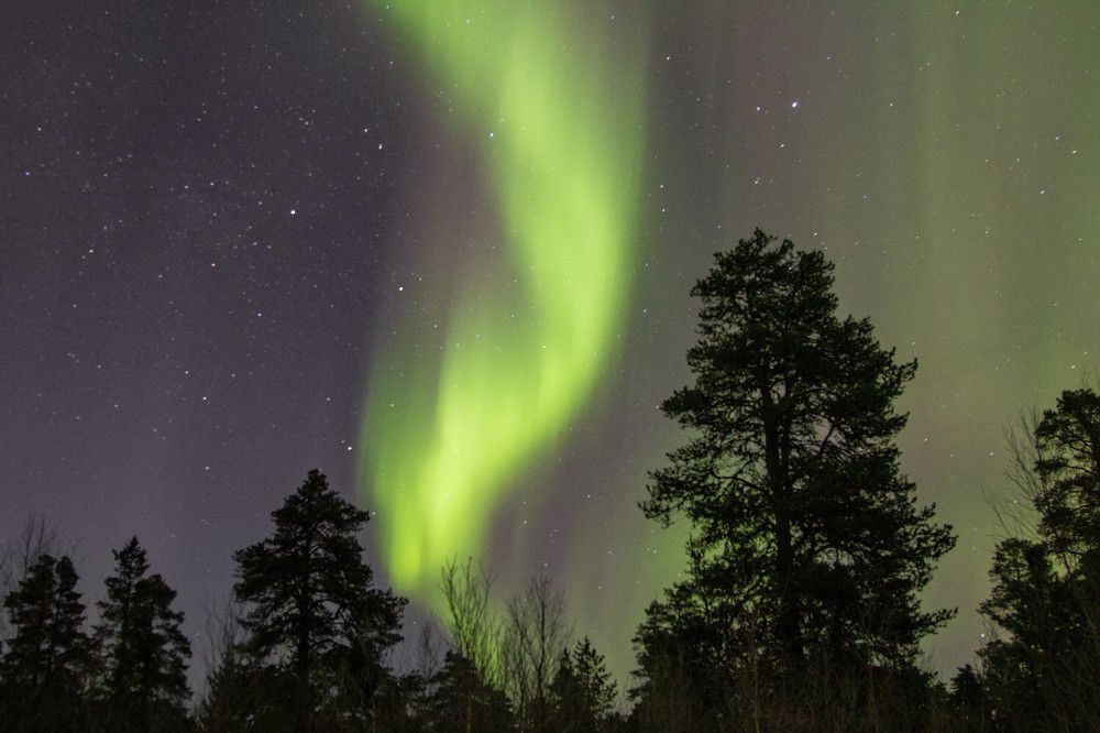 Photograph by Алина Быстрова