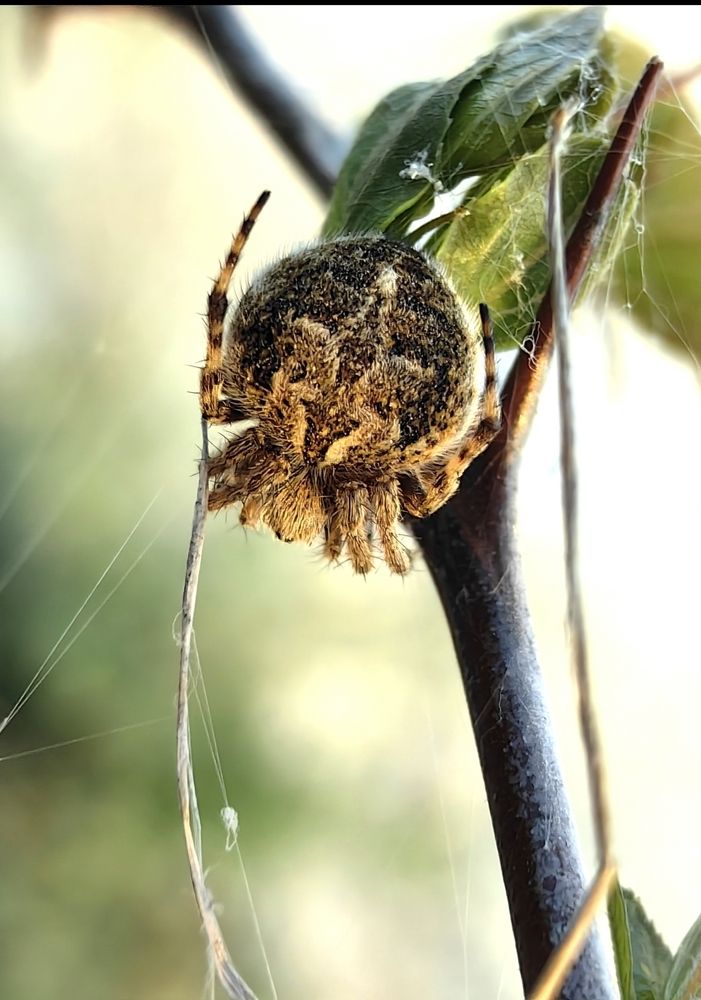 Photograph by Ирина Тихая