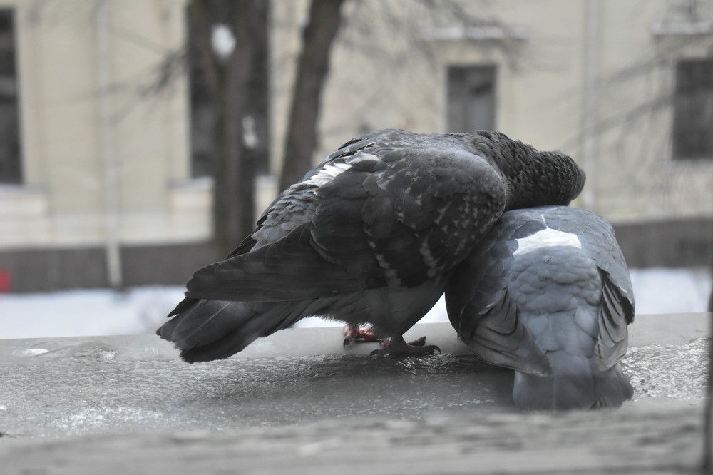 Photograph by Виктория Султанская