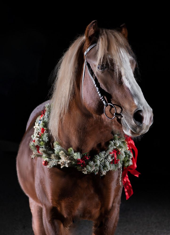 Photograph by Ксения Далишнева