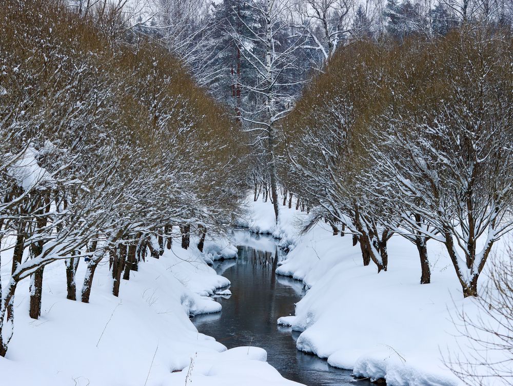 Photograph by Irina Sorokoletova