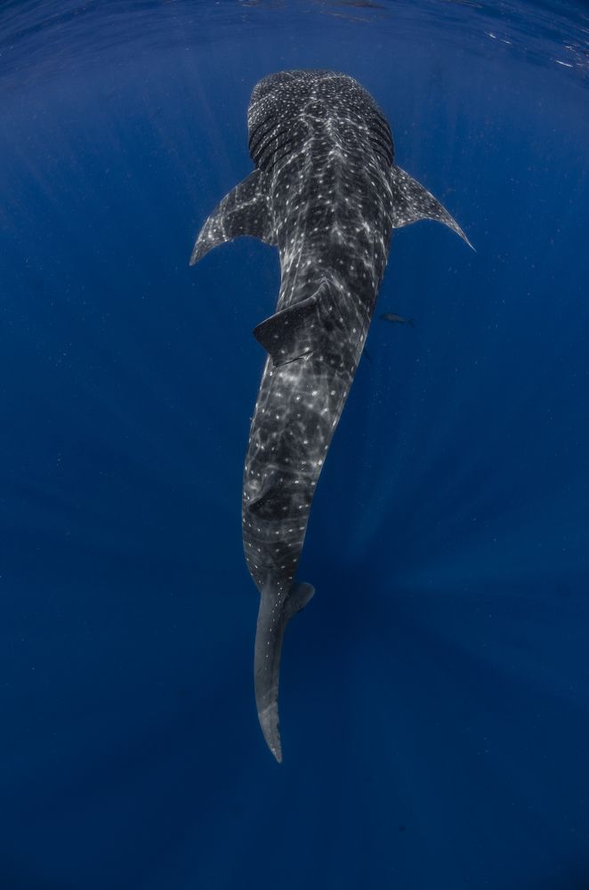 Photograph by ANTONIO RUVER BANDEIRA