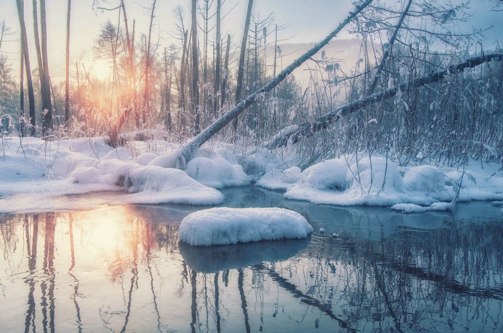 Непокоренная.