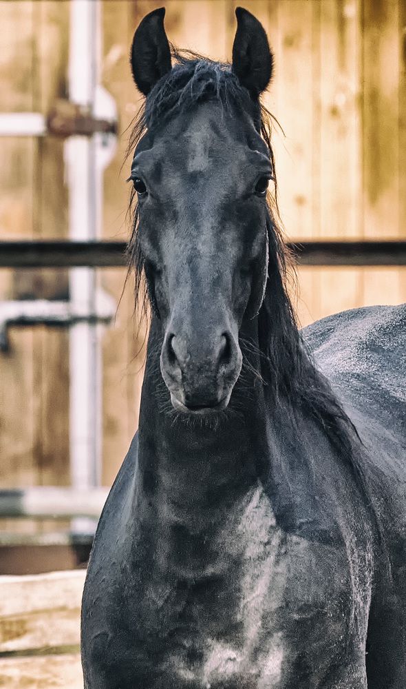 Фотография автора Дмитрий Смирнов