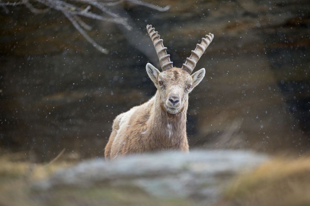 Photograph by Marco Rondi