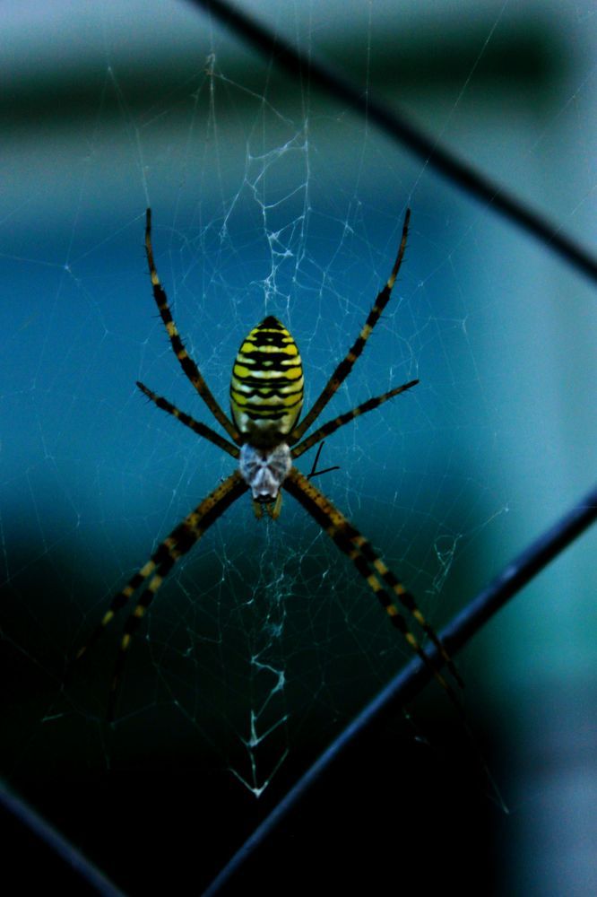 Photograph by Руслан Гордиенко