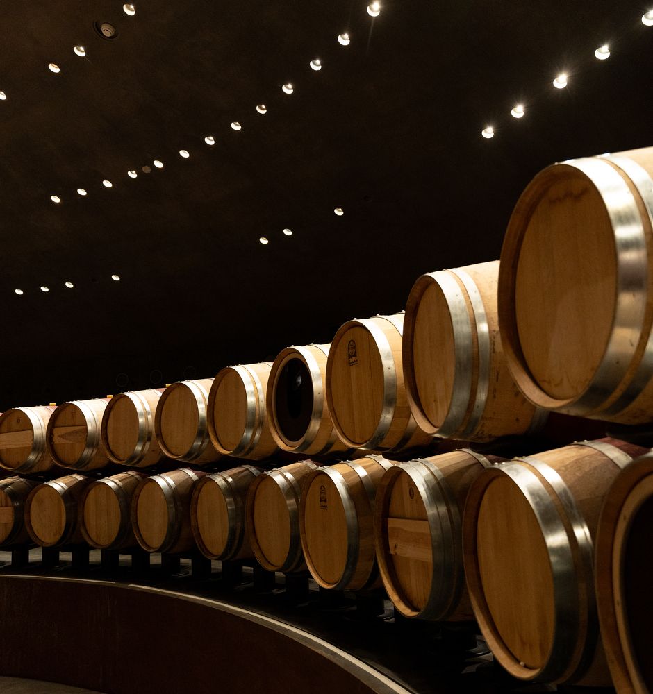 Photograph by Тишков Сергей