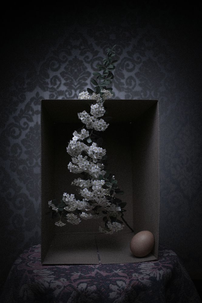 Фотография автора Игорь Белявцев